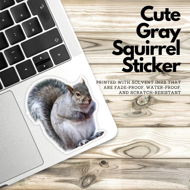 Adesivo de esquilo de Cinza (gray squirrel sticker, cute animal sticker, nature lover sticker, wildlife sticker, vinyl sticker, w)