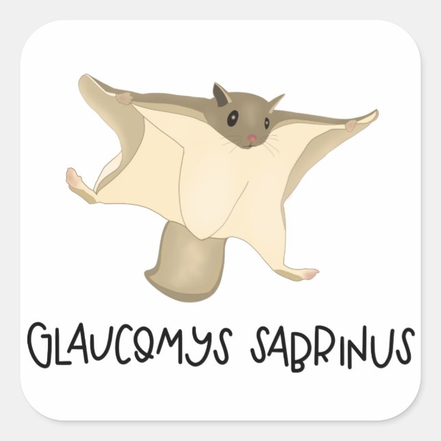 Adesivo de esquilo voador (Frente)