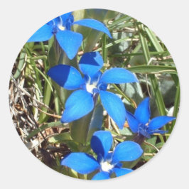 Adesivo de flores da genciana azul