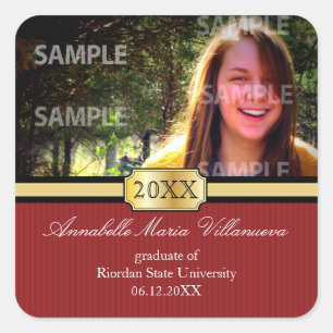 Adesivo de graduação da Banda do buckle