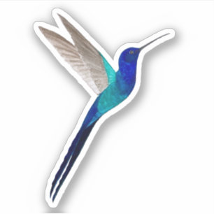 Adesivo de Hummingbird
