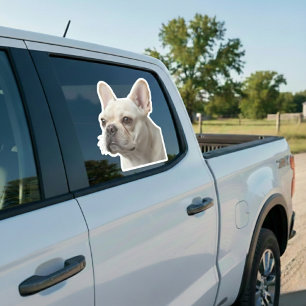 Adesivo de janela de carro com foto personalizada