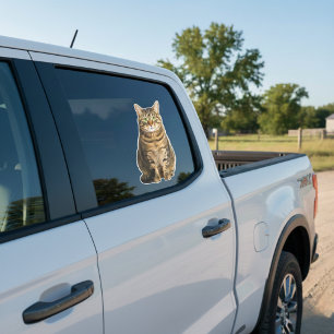 Adesivo de janela de carro com foto personalizada