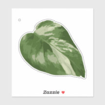 Adesivo de Monstera Variegada – Folha Cortada Clar
