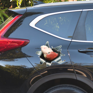 Adesivo de Papagaio Galah Rosa – Decalque de Pássa