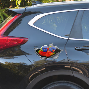 Adesivo de Papagaio Lorikeet Arco-Íris – Ave Vibra