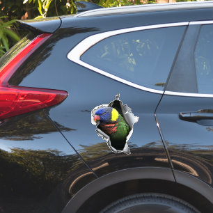 Adesivo de Papagaio Lorikeet Arco-Íris - Decalque