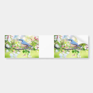 adesivo de para-choque bluebird de spring fling