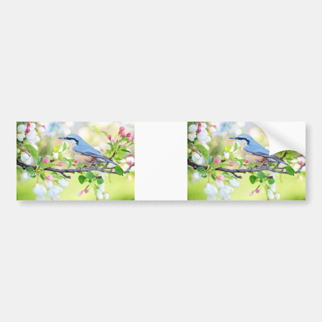 adesivo de para-choque bluebird de spring fling (Frente)