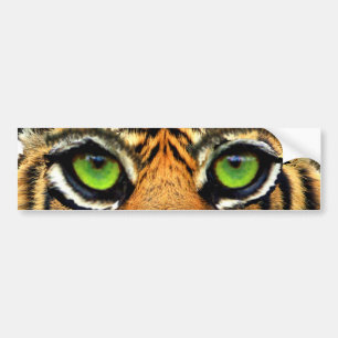 Adesivo de Para-choque de Tigre Selvagem Moderno