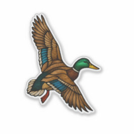 Adesivo de Pato-real