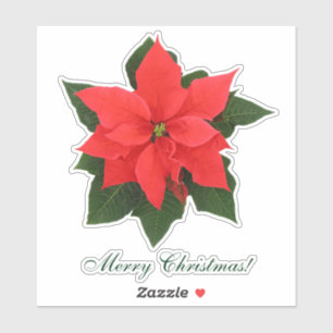 Adesivo de Poinsettia Vermelha
