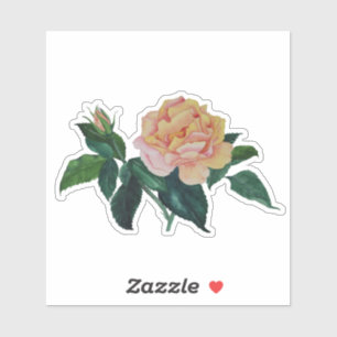 Adesivo de Presente Rosa da Paz Aquarela Floral Di