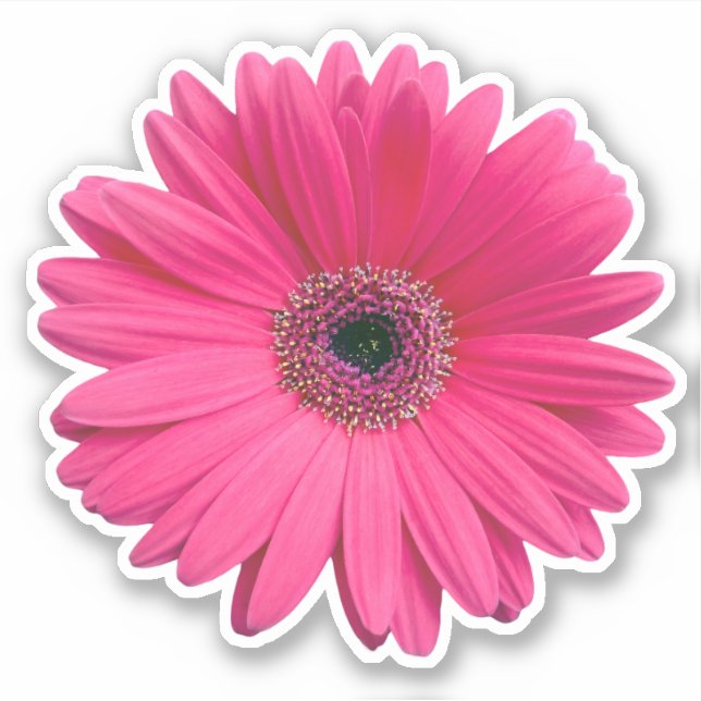 Adesivo de recorte de beijo de flor de Gerbera Dai (Frente)