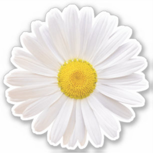 Adesivo de recorte de beijo de flor de margarida S