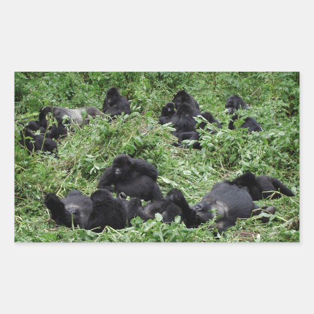 Adesivo de retângulo de grupo gorila de montanha (Frente)