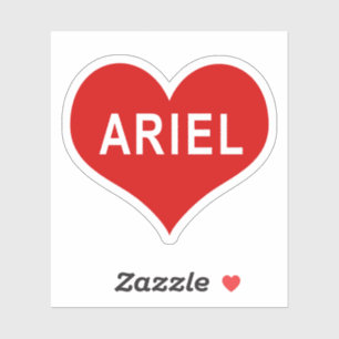 Adesivo de Vinil Coração Vermelho de Amor ARIEL NA