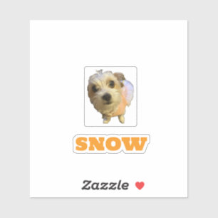 Adesivo de vinil cortado personalizado SNOW-4x4