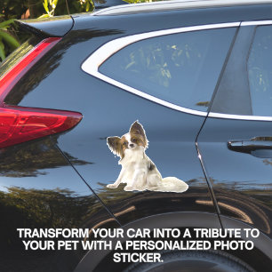 Adesivo de Vinil Personalizado para Carro com Foto