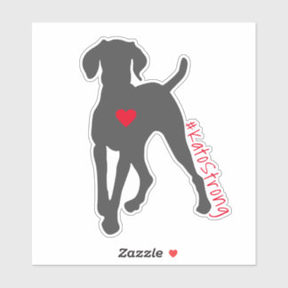 Adesivo Decal de Vinil do #KatoStrong