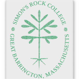 Adesivo Decal retangular de vinilo verde