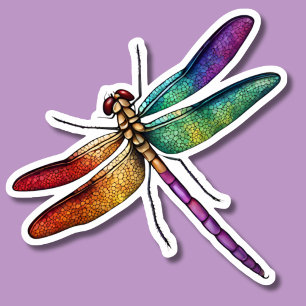 Adesivo Delicar Rainbow Dragonfly