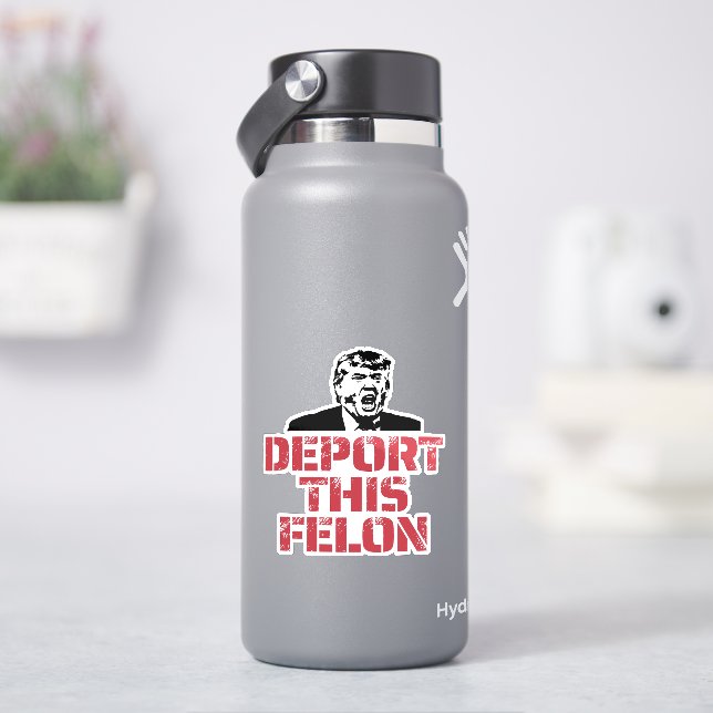 Adesivo Deport This Felon (HidroFlask)