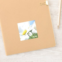 Desejos com margaridas brancas personalizadas