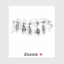 Desenho de plantas botânicas de Jardim Herbs