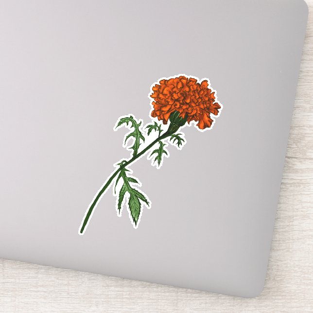 Adesivo Desenho de Tinta da Flor Marigold Francês (Detalhe)