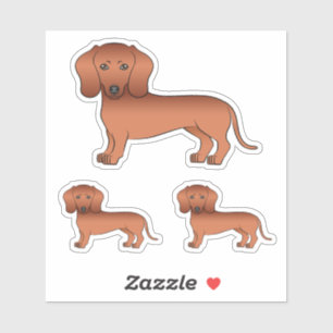 Adesivo Desenhos de Cão Casaco Dachshund, Vermelho, Suave