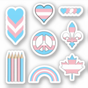 Adesivo Designs Trans Pride II