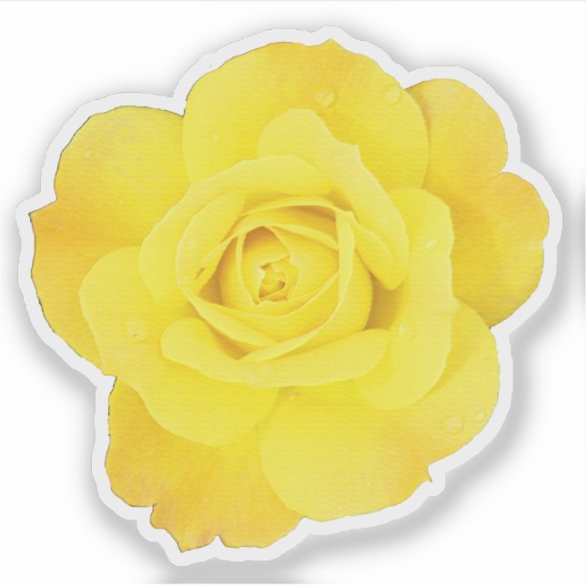 Adesivo Dia de Amizade Rosa Amarela Casamentos Florais (Frente)