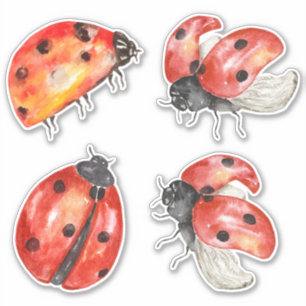 adesivo do conjunto de ladybugs