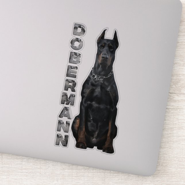 Adesivo Doberman Pinscher (Detalhe)