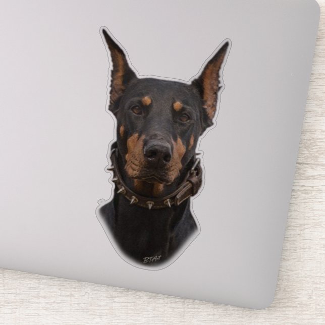 Adesivo Doberman Pinscher Sticker (Detalhe)