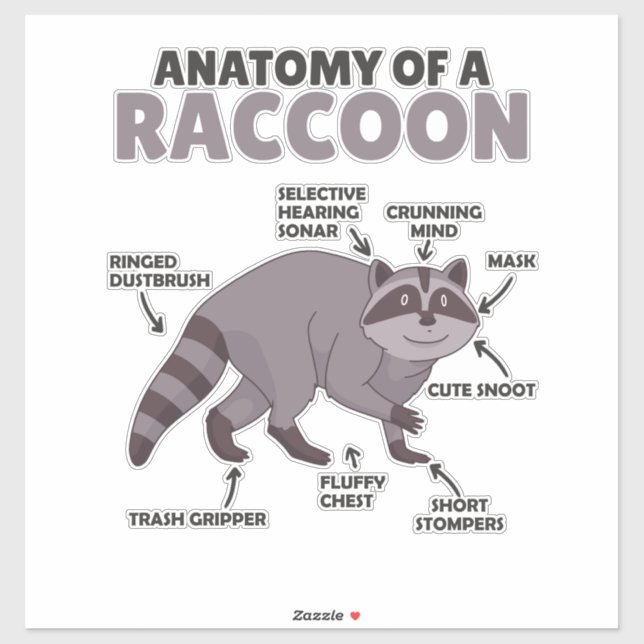 Adesivo Doce Raccoon Explicação Anatomia De Um Raccoon (Folha)