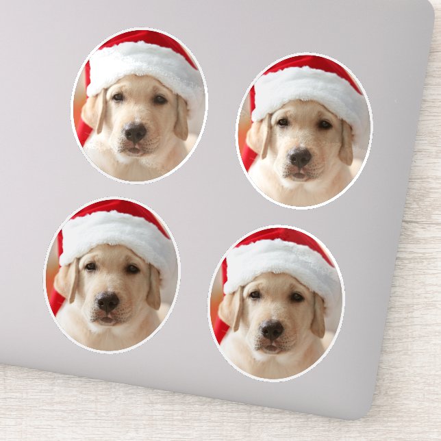 Adesivo Dog Face Photo Custom Cut out (Detalhe)