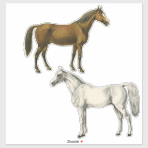 Adesivo Dois cavalos do vintage
