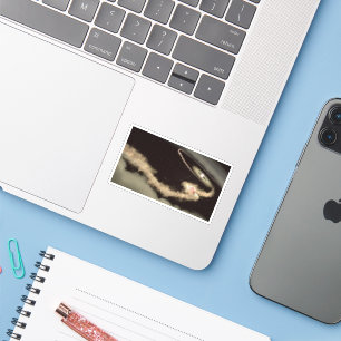 Adesivo Dois Exoplanetas Gás Orbitando Uma Jovem Estrela