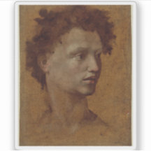 Domenico Beccafumi - Chefe de Juventude