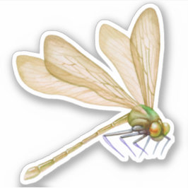 Adesivo Dragonflies Sticker