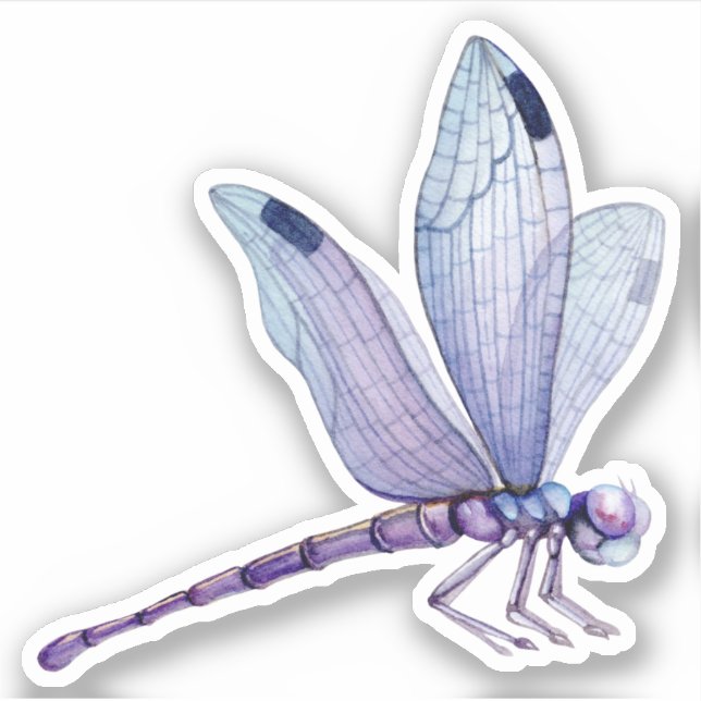 Adesivo Dragonflies Sticker (Frente)