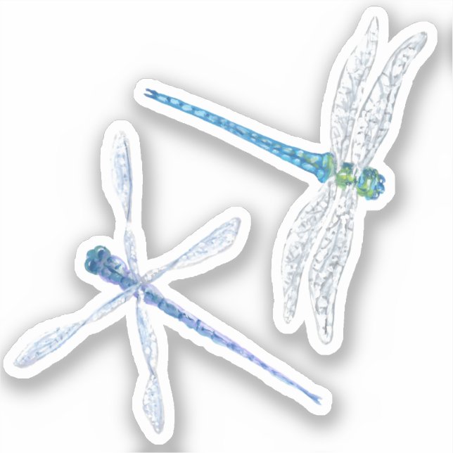 Adesivo Dragonfly Vinyl Stickers (Frente)