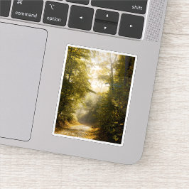 Adesivo Dreamy sunlit park, nature aesthetic art photo