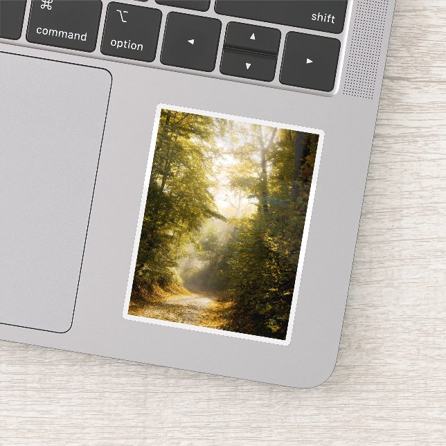 Adesivo Dreamy sunlit park, nature aesthetic art photo (Detalhe)