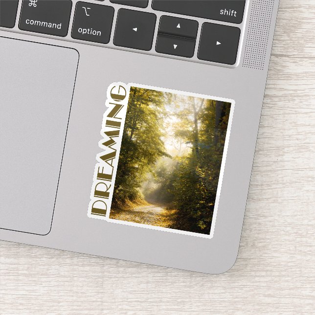 Adesivo Dreamy sunlit park, nature aesthtetic photo (Detalhe)