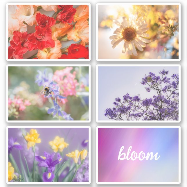 Adesivo Dreamy vibrant spring floral sticker set sheet (Frente)