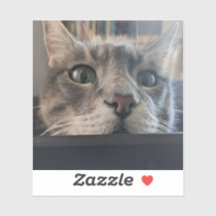 E aí, Cat? vinil Sticker 3"