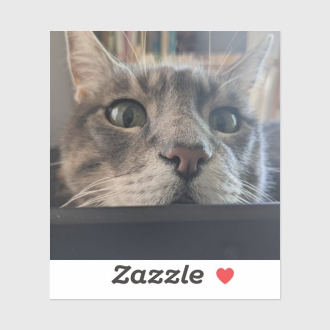 Adesivo E aí, Cat? vinil Sticker 3" (Folha)